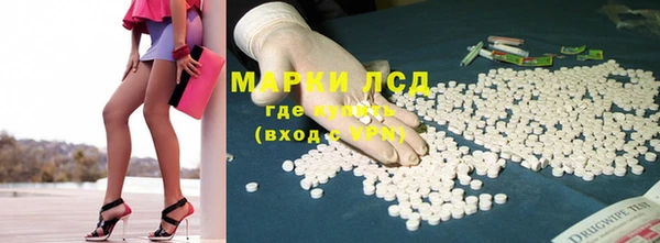 сатива Абинск