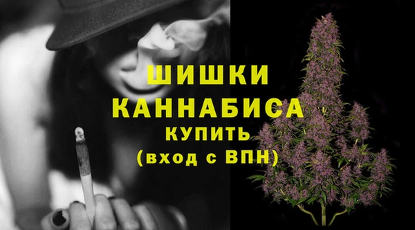 сатива Абинск