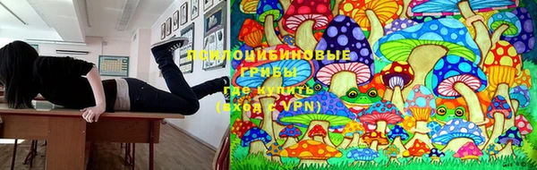 ПСИЛОЦИБИНОВЫЕ ГРИБЫ Алексеевка