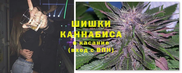 сатива Абинск