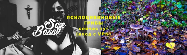 молекула духа Волоколамск