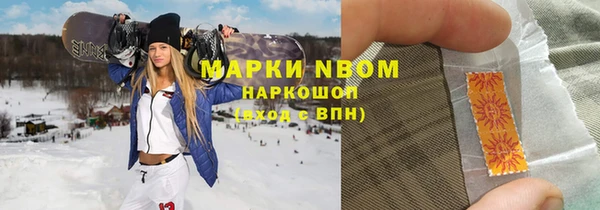 сатива Абинск