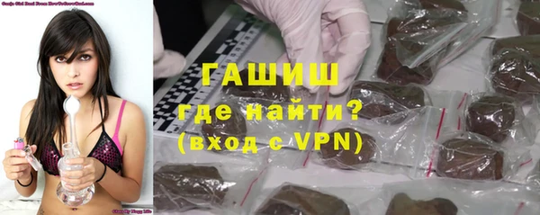 индика Алзамай