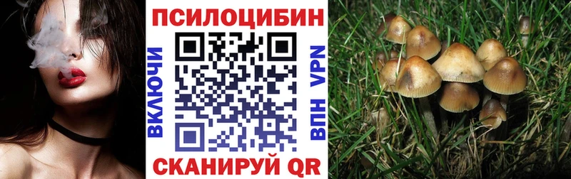 Псилоцибиновые грибы Psilocybine cubensis  OMG   Алдан  даркнет сайт 